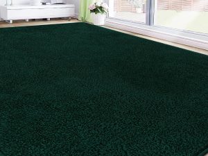 RTBQJ-AT Rugs Living Room Microfiber Fluffy Green Rug