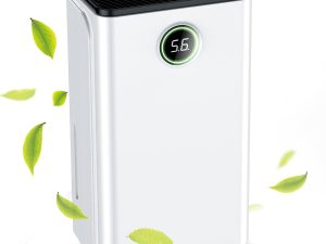 Day Dehumidifier