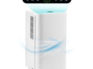 HAUSHOF 12L/Day Dehumidifier