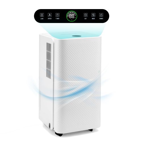 HAUSHOF 12L/Day Dehumidifier