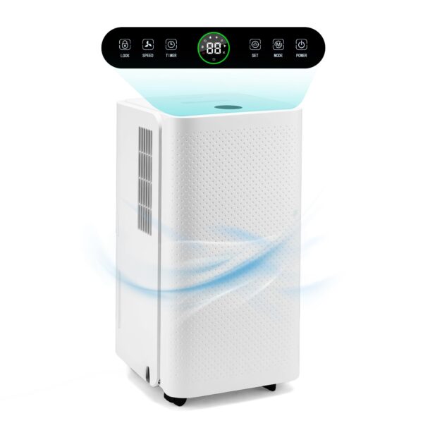 HAUSHOF 12L/Day Dehumidifier