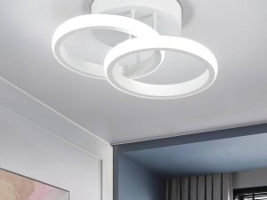 EIDISUNY LED Ceiling Light