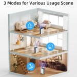 Dehumidifiers for Home Damp - Image 4