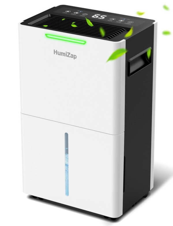 Dehumidifiers for Home Damp