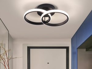 EIDISUNY LED Ceiling Light Modern Ceiling Lamp