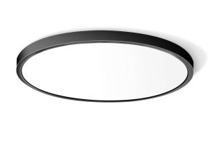 12 Inch 24W LED Flush Mount Ceiling Light