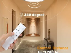12 Inch 24W Dimmable LED Flush Mount Ceiling Light Fixture