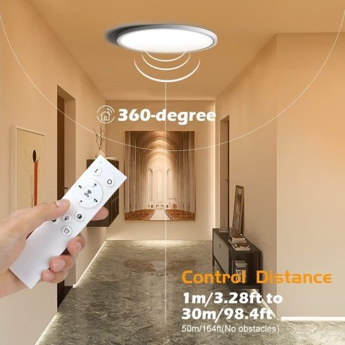 12 Inch 24W Dimmable LED Flush Mount Ceiling Light Fixture