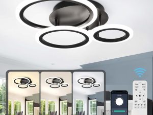 EIDISUNY Modern Led Dimmable Ceiling Light