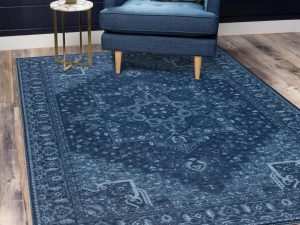 Vernal Aurelia Machine Washable, Non Shedding, Non Slip Area Rug for Living Room